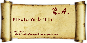 Mikula Amália névjegykártya